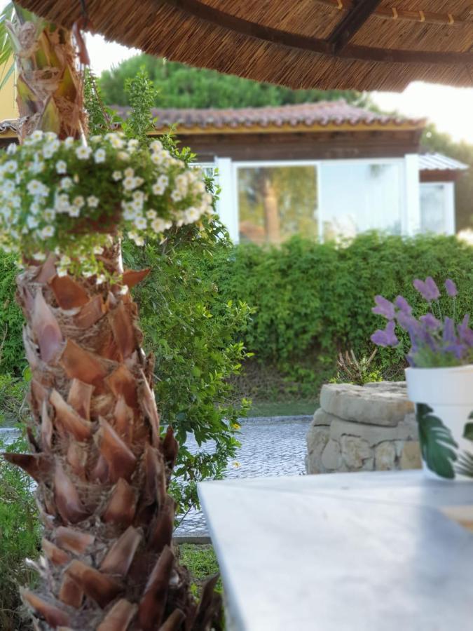 Quinta Lagus Resort - Casa De Campo Palmela Bagian luar foto