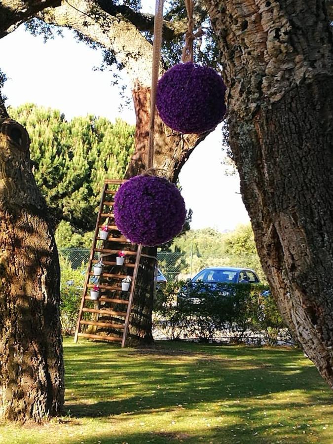 Quinta Lagus Resort - Casa De Campo Palmela Bagian luar foto